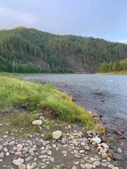 river in the forest