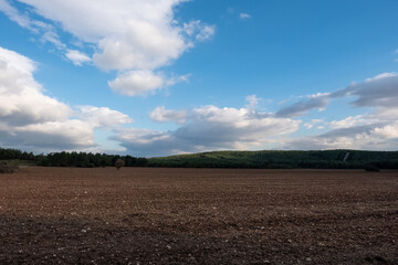 Fototapeta na wymiar Empty Agricultural Field by the Forest Under Cloudy Sky