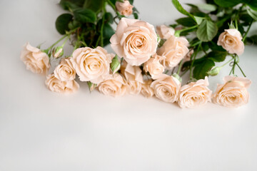 Bouquet of pale yellow roses scattered on light background.