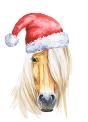 Horse head with red santa claus hat watercolor illustration on white background. Animal watercolour.  © Ann Lou