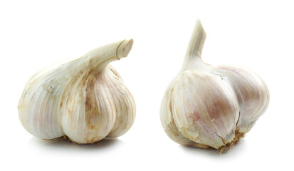 natural organic garlic