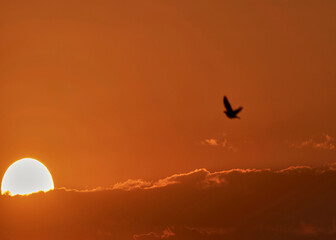 sunset in the sky
