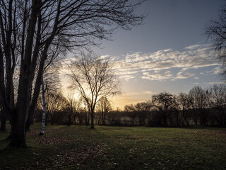 Obraz premium A CHRISTMAS WALK AT NIGHT