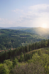 Obraz premium view the mountaint from the upper grassland on the forrest down the hills