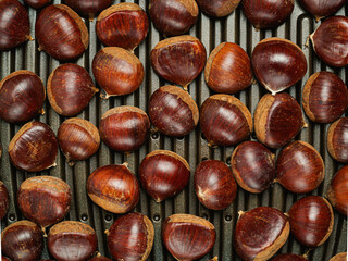 fresh chestnuts are laid out on the grill, roasting chestnuts