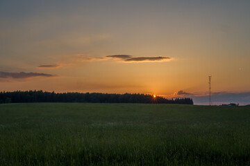 Orange summer sunset over the forest