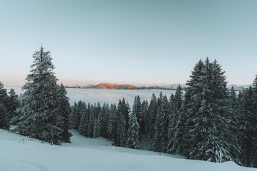 Obraz premium Nebelmeer 