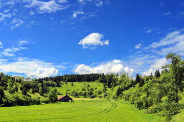 Traumhafte Landschaft im Schwarzwald