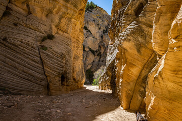 Lick Wash Trail Hike