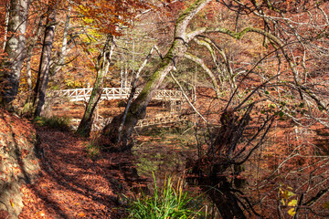 Sevenlakes National Park in Autumn Bolu Turkey. Yedigoller milli parkı