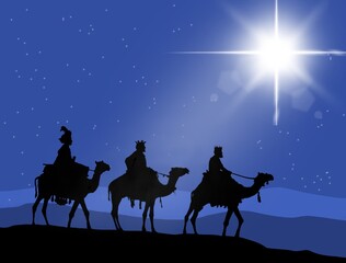 silhouette of a camel in the desert