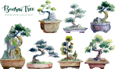 Bonsai Tree and pot watercolor painting collection.