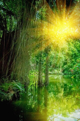 The wild nature. Beautiful landscape of  tropical forest with the river with reflection of sunlight at hot summer day. Vertical image.