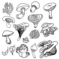 Set of black magic psychedelic mushrooms. Coloring page hallucinogenic, fantazy mushrooms. Black and white isolated vector illustration.