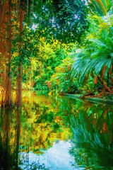 Fototapeta na wymiar The wild nature. Landscape of beautiful tropical forest and river. Vertical image.