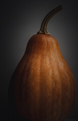 Orange pumpkin on a dark background. Artistic composition