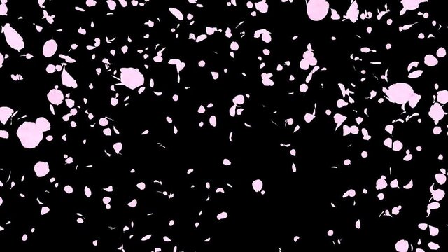 桜 花びら 舞い散る マスクあり [ループ対応] [別Verあり]