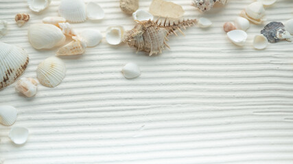 Fototapeta na wymiar seashells pearls corals on a textured white background . space for text. the view from the top . notepad