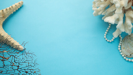 shell on a blue background . a Maritime theme. space for text