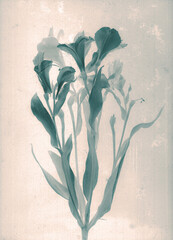 Tropical flowers. Daguerreotype style. Film grain. Vintage photography. Botanical negative x-rays...
