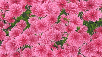 Beautiful vivid colorful pink clover flowers . Digital painting 3d rendering illustration 