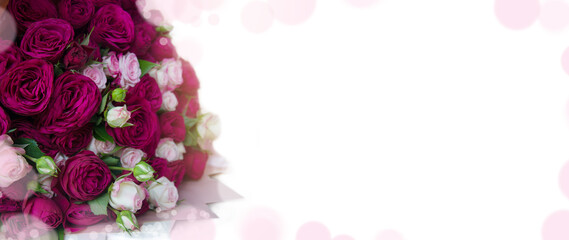 Valentine's Day banner. A bouquet of bright pink roses on a white background. Isolate. Side view. Copyspace