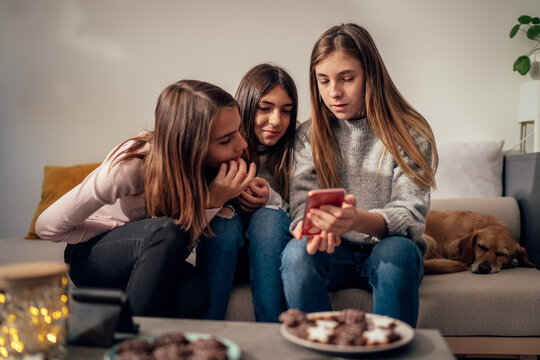 Teenage Girls And A Dog Hang Out At Home During The Holidays