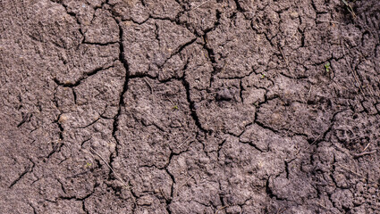 land is drying. Dried up agricultural land. Fragmented soil with cracks. Dry land without water. background