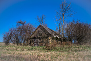 Fototapeta premium Old abandoned cabin in the grassland