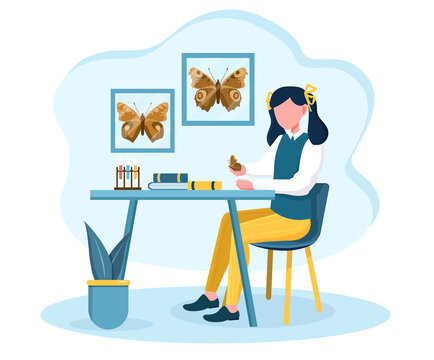 Young girl is fond of entomology. Female character sitting at table and examining butterflies at home. Concept of love of nature and insects. Flat cartoon vector illustration