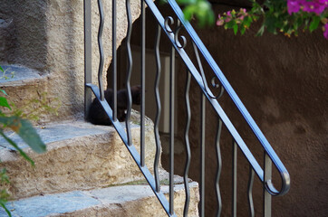 Al di l&agrave; delle righe.