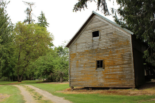 Old Barn with Missing Windows and Moss on Dirt Road in the Country