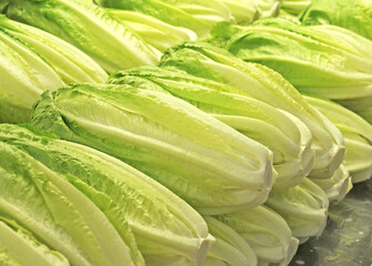 Pile of napa or Chinese cabbage (brassica rapa pekinensis)