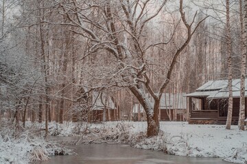 snow covered trees
