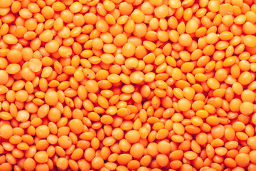 Red lentil background. Abstract food texture. Close up view.