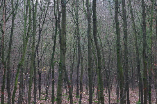 Barycz Valley, Poland