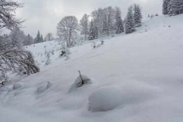 Winter in the Ukrainian Carpathians with beautiful frozen trees and snow