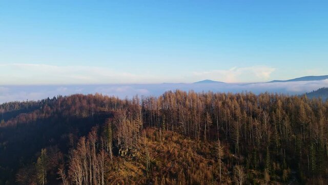 Aerial footage of Beskidy Mountains with Babia G&oacute;ra on horizon.