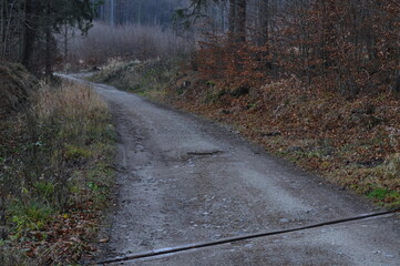 Owl Mountains, Poland