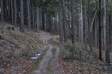 Owl Mountains, Poland