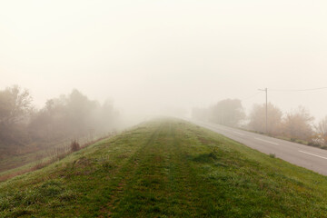 fog on a empty road