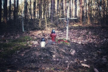the grave of an unknown German aviator shot down in Poland during the Second World War