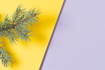 Small fir branch on yellow and gray background. Minimal Christmas and New Year background. Top view