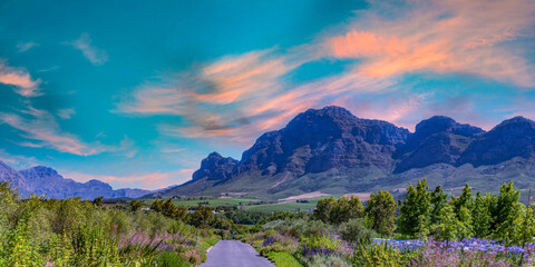 Panorama shot of Franschhoek wine valley with flowers and blue sky in Western Cape South Africa