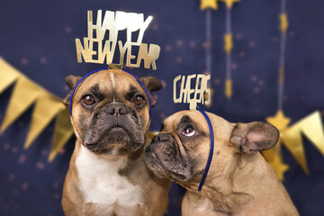 Funny French Bulldog dogs wearing golden party celebration headbands with words 'Happy new year'...