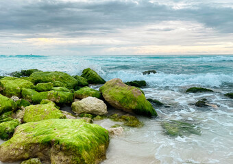Green rocks at the Caribbean Sea 