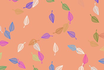 Light Multicolor, Rainbow vector doodle cover.