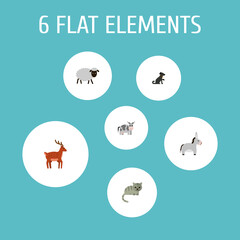 Fototapeta na wymiar Set of alive icons flat style symbols with dog, deer, cat and other icons for your web mobile app logo design.