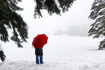A person with a red umbrella in Golcuk National Park during a blizzard in winter season - Bolu, Turkey