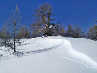 winter landscape, Lareccio canals and Colombe pass